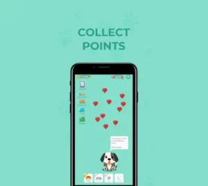Lovely Pet App
