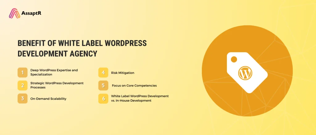 Why Partner With White Label WordPress Development Agency?