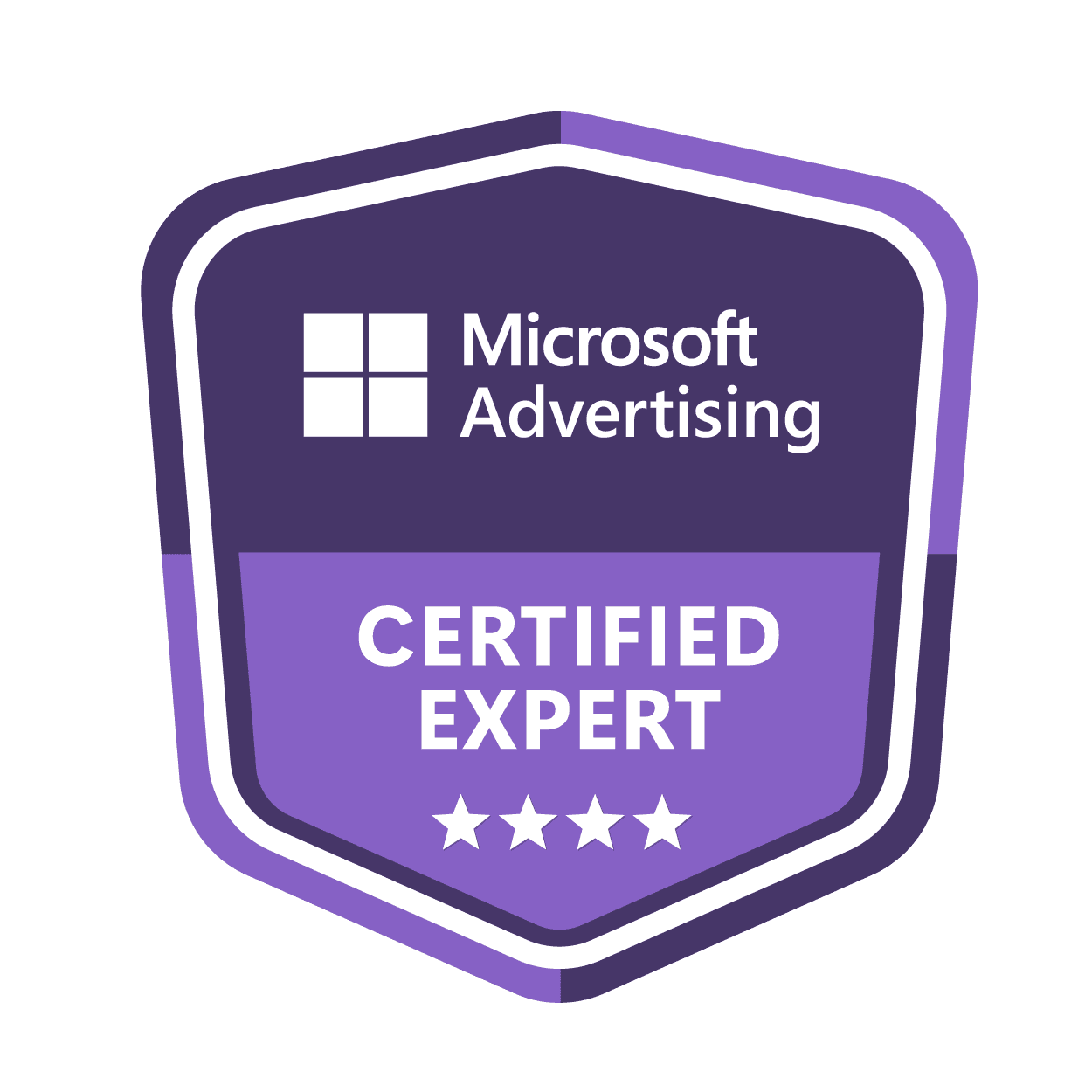 microsoft-partner